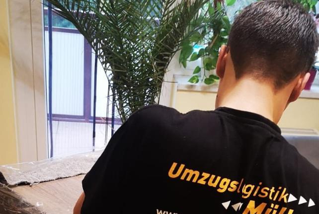 Behördenumzug Preise und Kosten Weißenberg